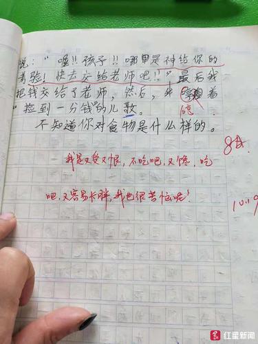 小学生作文《可怜啊》走红 哀叹每天才5毛零花钱