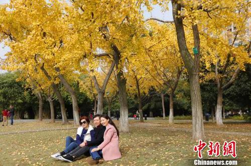 游人在宜昌滨江公园流连忘返　黄余洋　摄
