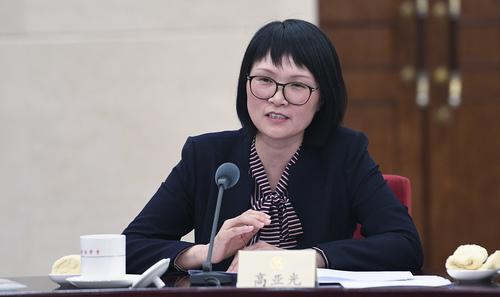 高亚光发言A