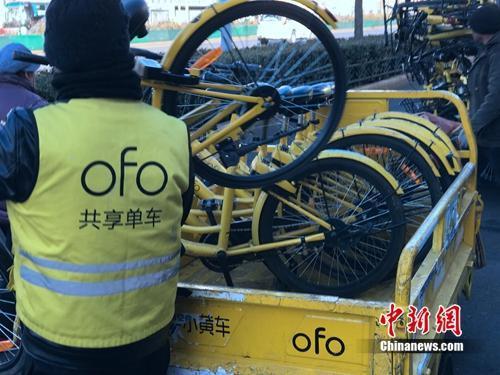 资料图：某共享单车运维人员在执行作业。<a target='_blank' href='http://www.chinanews.com/' >中新网</a> 吴涛 摄