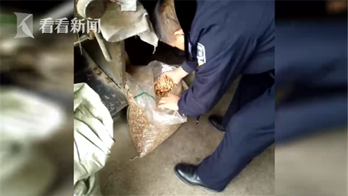 捕获1_副本.png