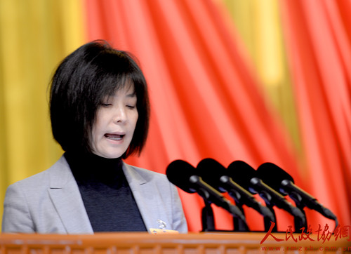 13北京市政协委员康伟宏发言