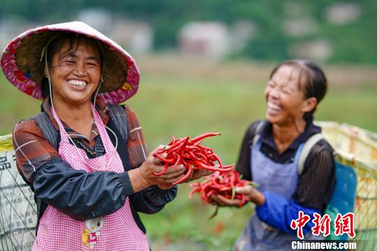 贵州精准产业招商带动11万贫困人口脱贫增收