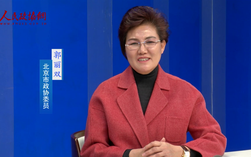 郭丽双委员：改革开放四十年 文化产业谱新篇