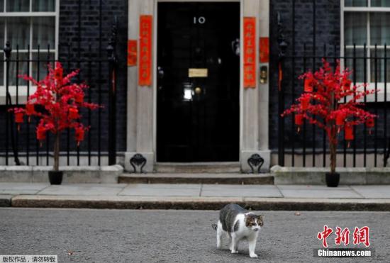 当地时间1月31日，英国伦敦唐宁街10号(英国首相官邸)贴春联挂彩灯，庆祝即将到来的农历新年。