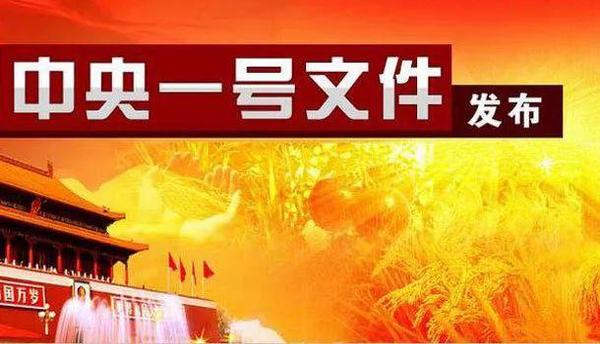 2019年中央一号文件发布！这些内容与你息息相关