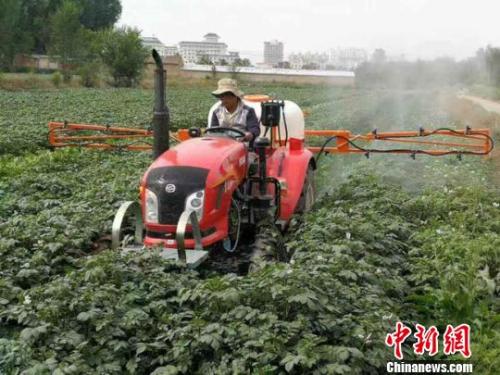 资料图：农民给马铃薯喷洒追肥。陈得军 摄