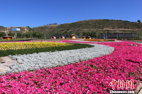 图为西宁市大通县花海。(资料图) 钟欣 摄