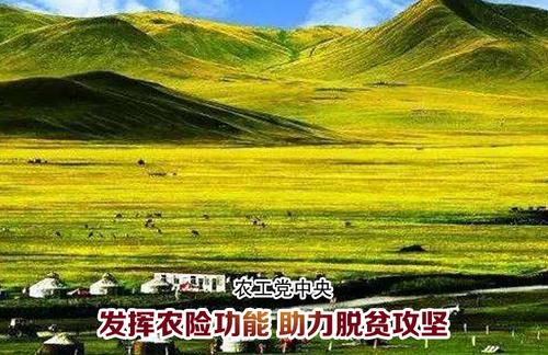 微信图片_20190309001411