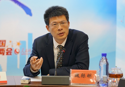 国务院发展研究中心产业经济研究部研究室主任、研究员 、博士生导师 魏际刚