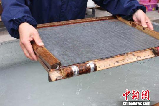 庄富泉正在制作竹纸。　彭晓霞 摄