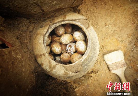 2500年前的鸡蛋 史骏 摄