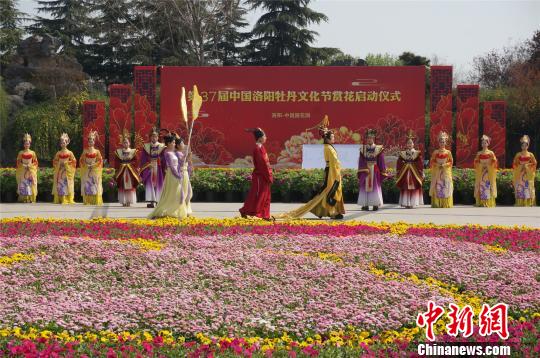 牡丹领群芳洛阳牡丹文化节赏花活动启动