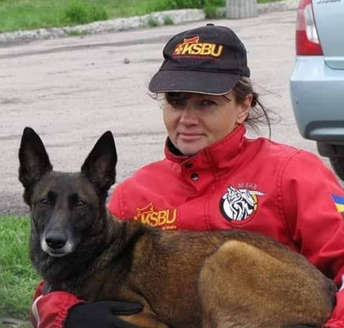 67岁老太太被困下水道三天 救援犬听呼吸声找到她