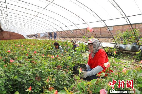 北京延庆精准集约服务保障世园会
