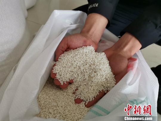 图为被查获的走私米 刘博 摄
