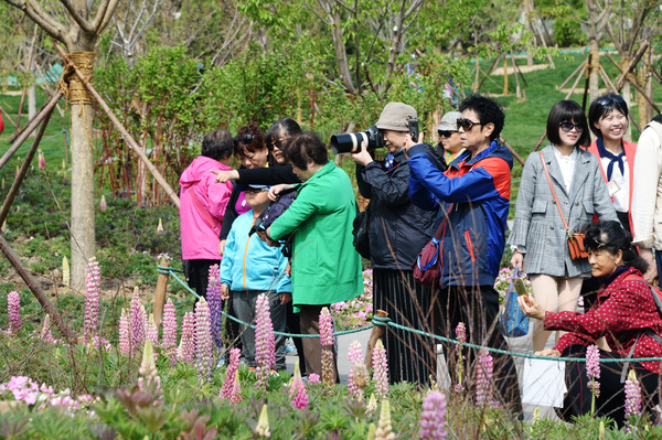 微信图片_20190419130456
