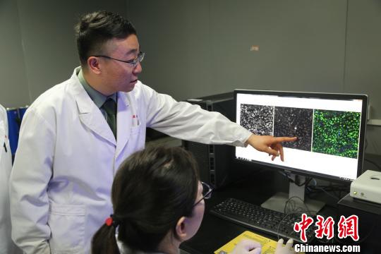讨论药物毒性高通量评价结果。　戴欣 摄