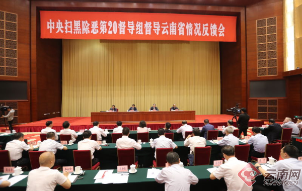 中央扫黑除恶督导组：彻查孙小果案 办成铁案