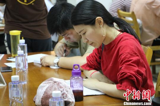 参赛者认真地投入比赛。　赵强 摄