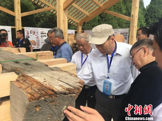 图为文物及古建筑专家在昭西陵实地考察。　白云水 摄