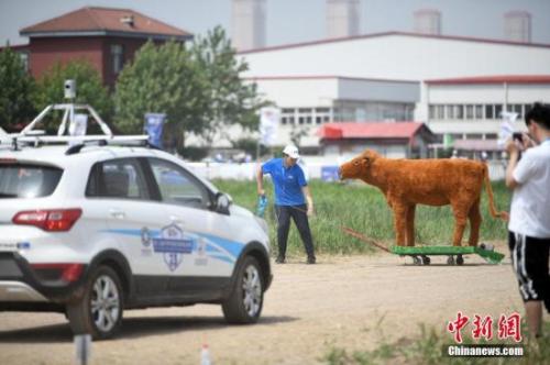 资料图：无人驾驶汽车。<a target='_blank' href='http://www.chinanews.com/'>中新社</a>记者 佟郁 摄