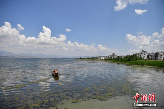 位于云南省大理白族自治州的洱海是云南第二大淡水湖泊。 <a target='_blank' href='http://www.chinanews.com/'>中新社</a>记者 刘冉阳 摄