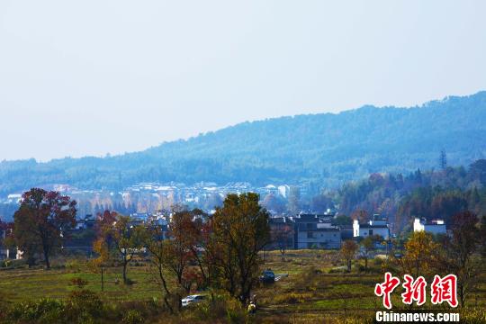 资料图：安徽省传统村落——黄山市塔川村。　张强 摄