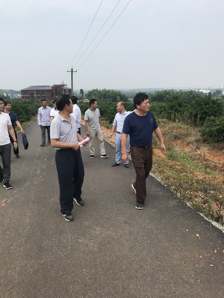 江西樟树市政协调研中医药种植产业