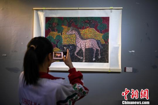 图为拉萨市民观看展览。　何蓬磊 摄