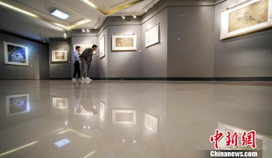 图为拉萨市民观看展览。　何蓬磊 摄