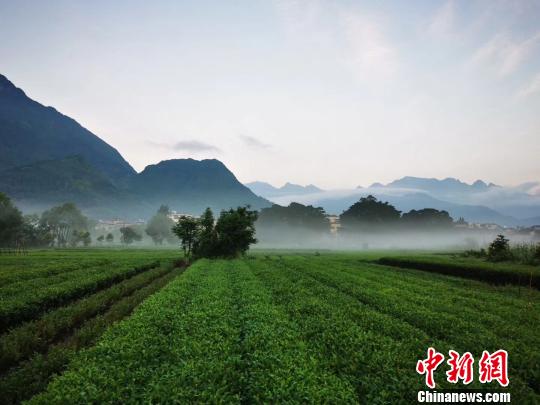 “霍童洞天”助力中国“洞天福地”申报世界文化遗产