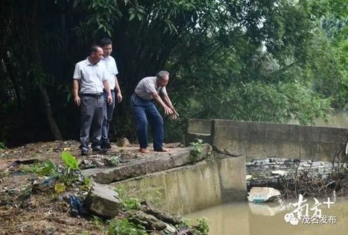 茂名81岁老人跳下4米深河救人:人命怎么样都要救