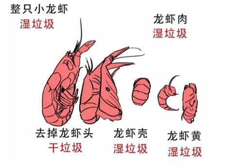 侠客岛:你是什么垃圾?为何成上海的社交新话题?
