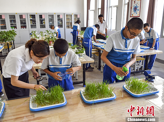 点击进入下一页