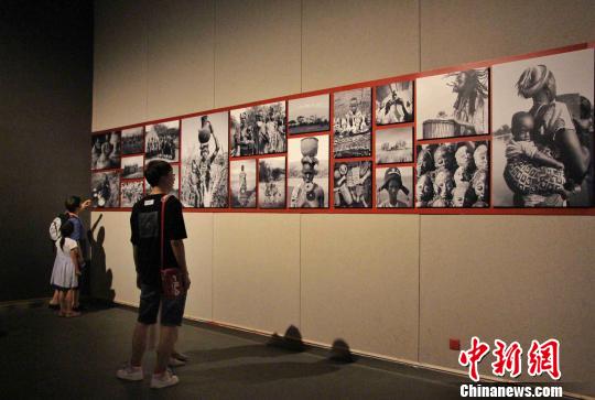 140件非洲雕刻艺术作品当天在山东美术馆亮相。　赵晓 摄