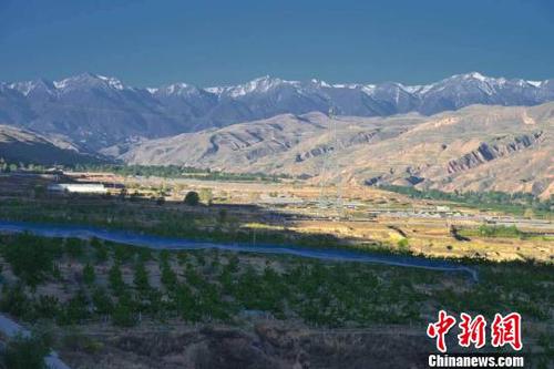 青海乐都：雪山下种出大樱桃闯出脱贫新路子