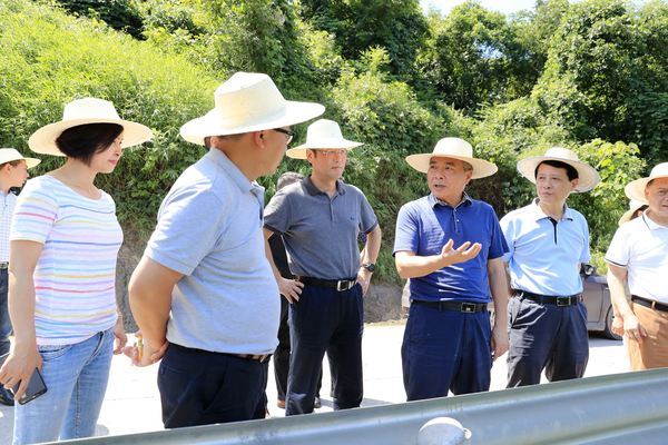 重庆市政协视察长江沿岸生态林建设