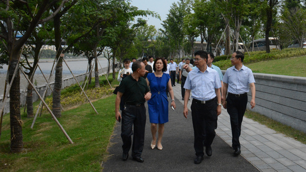 住镇省政协委员视察大运河文化带建设