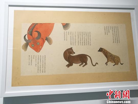 “故宫里的海洋世界--《海错图》多媒体综合展”，11日下午在深圳海上世界艺术文化中心开幕。　郑小红 摄