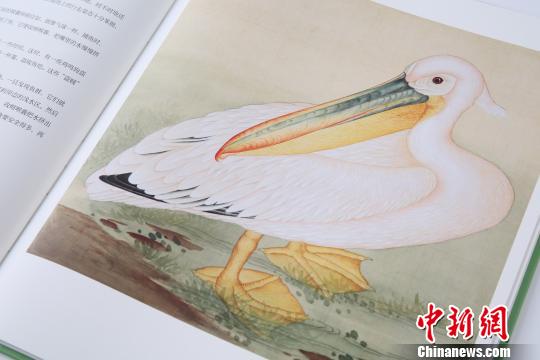 《故宫里的博物学》内页 故宫出版社供图