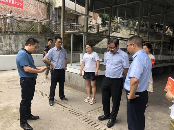 重庆市巴南区政协调研创卫工作