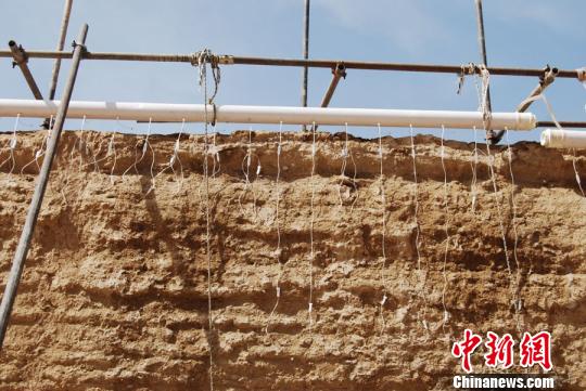 图为嘉峪关长城布满针管，“输液”挂吊瓶。实施该保护方法是对土质较为疏松墙体采用输液形式，注入防风化材料，提高渗透深度，提升墙体密实度。(资料图) 钟欣 摄