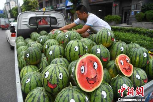 图为商贩正在整理车上的西瓜。　陈超 摄