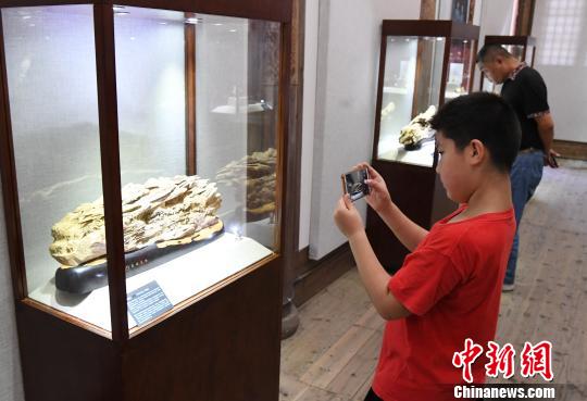 “青蓝门径·福建青年艺术家雕刻作品展”正在福州福建省海峡民间艺术馆展出。　记者刘可耕 摄