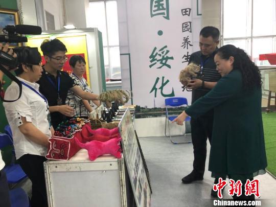 此次展览吸引了八方游客前来观赏。　张帅 摄