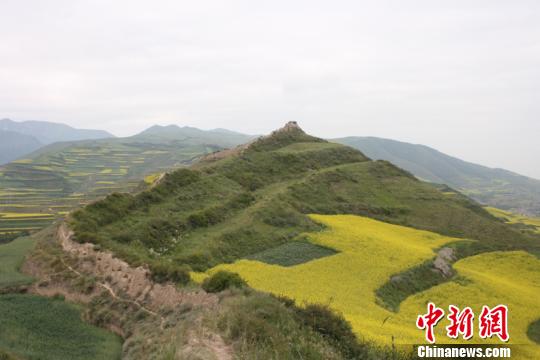 图为青海省境内明长城。青海省文物局供图