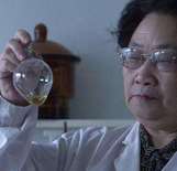 中国中医科学院研究员、诺贝尔生理学或医学奖获得者屠呦呦：科技无国界，但科学家都有祖国