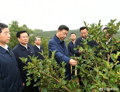 点击进入下一页