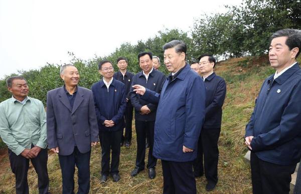 2019年9月17日上午，习近平来到信阳市光山县槐店乡司马光油茶园，同正在劳作的村民和管理人员交流。